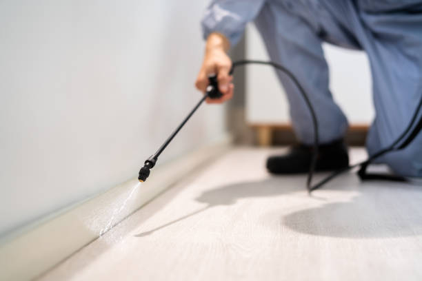 Rodent Entry Point Assessment in Maricopa