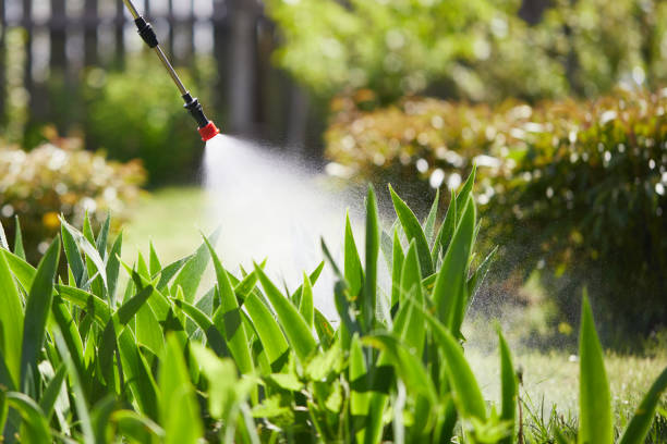 Tamper-Resistant Bait Stations for Rodents in Maricopa