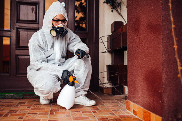 Attic and Crawl Space Rodent Treatment in Maricopa